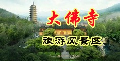 操操小逼逼中国浙江-新昌大佛寺旅游风景区